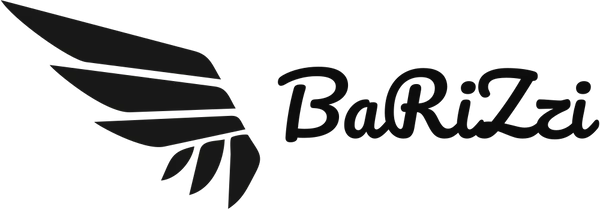 BaRiZzi